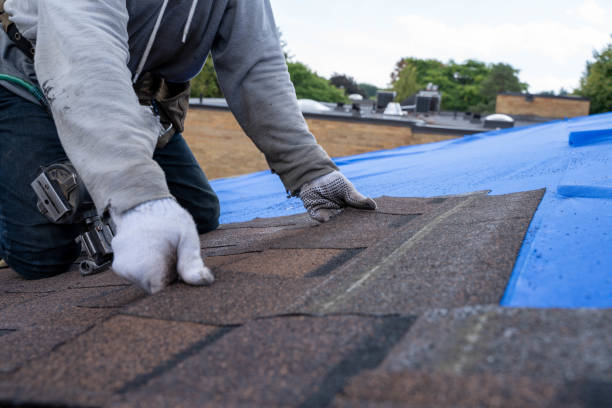 Best Flat Roof Repair Services  in De Witt, NY